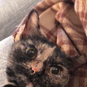 Meet your Posher, Lily